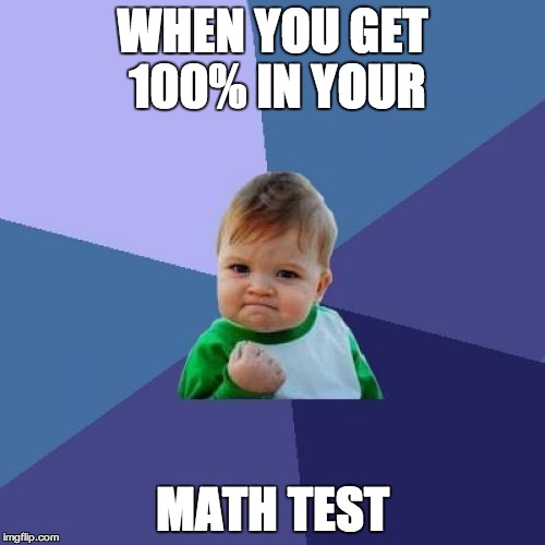 Success Kid | WHEN YOU GET 100% IN YOUR; MATH TEST | image tagged in memes,success kid | made w/ Imgflip meme maker