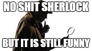 NO SHIT!! | NO SHIT SHERLOCK; BUT IT IS STILL FUNNY | image tagged in no shit | made w/ Imgflip meme maker