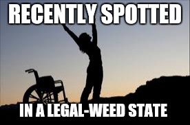 RECENTLY SPOTTED IN A LEGAL-WEED STATE | made w/ Imgflip meme maker