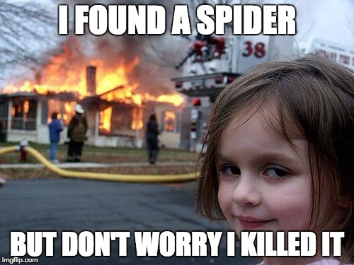 Disaster Girl Meme | I FOUND A SPIDER; BUT DON'T WORRY I KILLED IT | image tagged in memes,disaster girl | made w/ Imgflip meme maker