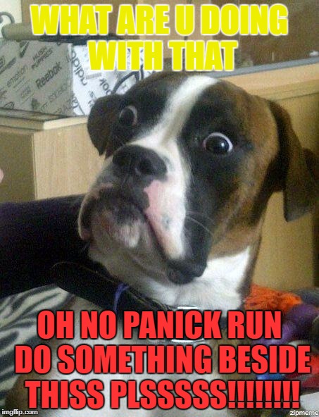Funny Dog | WHAT ARE U DOING WITH THAT; OH NO PANICK RUN DO SOMETHING BESIDE THISS PLSSSSS!!!!!!!! | image tagged in funny dog | made w/ Imgflip meme maker