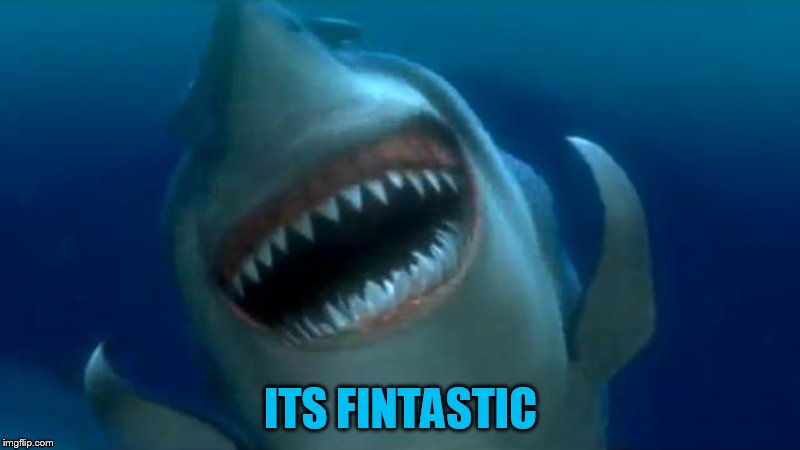 ITS FINTASTIC | made w/ Imgflip meme maker