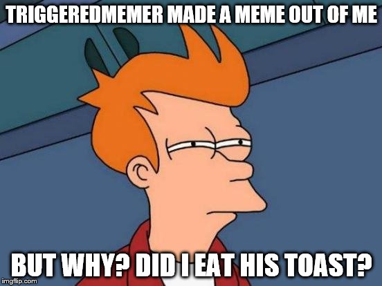 Futurama Fry Meme | TRIGGEREDMEMER MADE A MEME OUT OF ME; BUT WHY? DID I EAT HIS TOAST? | image tagged in memes,futurama fry | made w/ Imgflip meme maker