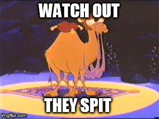 Watch out they spit | image tagged in aladdin,abu,camel,spit,memes,disney | made w/ Imgflip meme maker