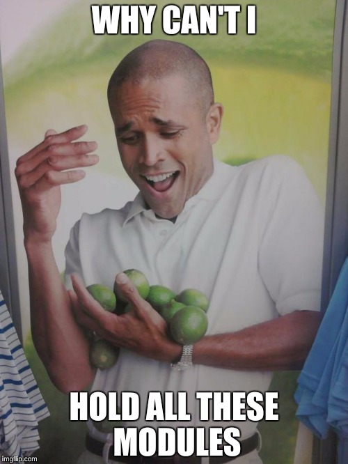 Why Can't I Hold All These Limes Meme | WHY CAN'T I; HOLD ALL THESE MODULES | image tagged in memes,why can't i hold all these limes | made w/ Imgflip meme maker