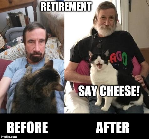 Retirement | RETIREMENT; BEFORE                   AFTER | image tagged in before and after,retirement,funny cat memes | made w/ Imgflip meme maker