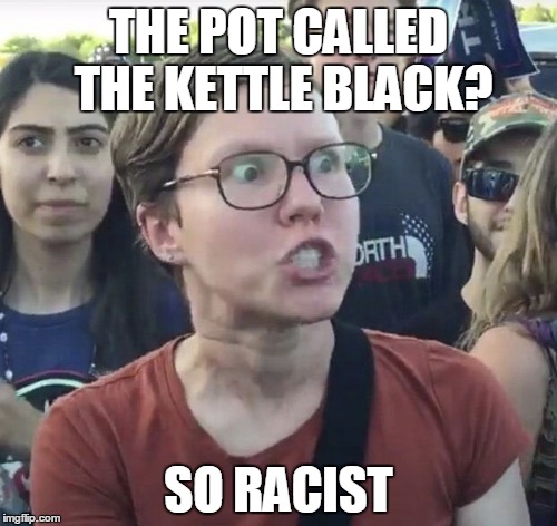 Triggered feminist | THE POT CALLED THE KETTLE BLACK? SO RACIST | image tagged in triggered feminist | made w/ Imgflip meme maker