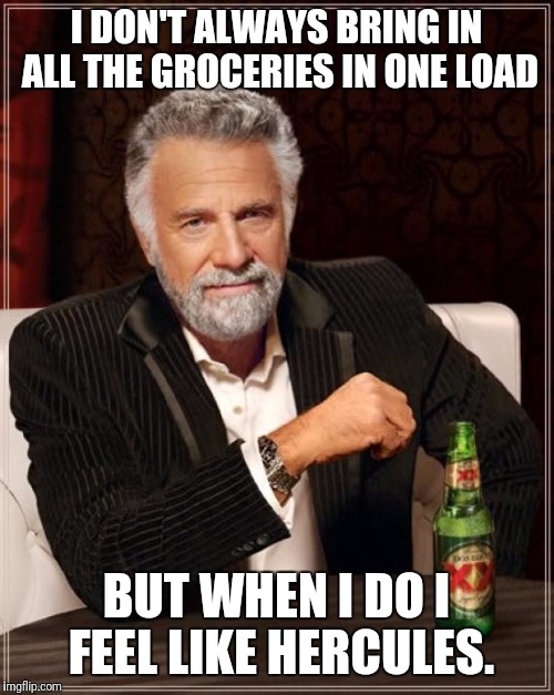The Most Interesting Man In The World | I DON'T ALWAYS BRING IN ALL THE GROCERIES IN ONE LOAD; BUT WHEN I DO I FEEL LIKE HERCULES. | image tagged in memes,the most interesting man in the world | made w/ Imgflip meme maker