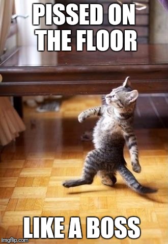 Cool Cat Stroll Meme | PISSED ON THE FLOOR; LIKE A BOSS | image tagged in memes,cool cat stroll | made w/ Imgflip meme maker
