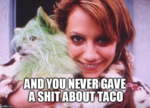 Spun taco | AND YOU NEVER GAVE A SHIT ABOUT TACO | image tagged in spun,taco,brittany murphy,dog,green,memes | made w/ Imgflip meme maker