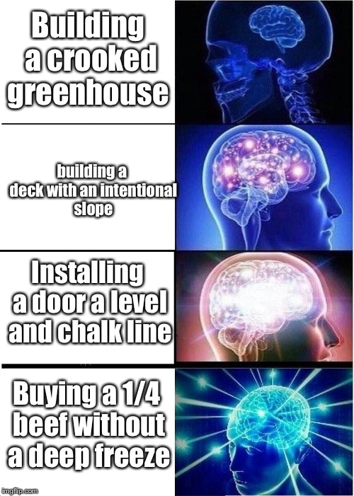 Expanding Brain Meme | Building a crooked greenhouse; building a deck with an intentional slope; Installing a door a level and chalk line; Buying a 1/4 beef without a deep freeze | image tagged in expanding brain | made w/ Imgflip meme maker