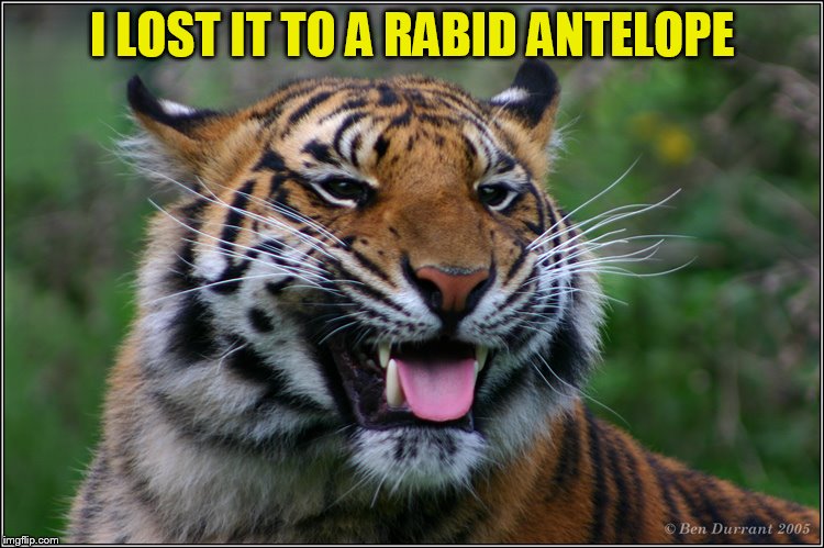 I LOST IT TO A RABID ANTELOPE | made w/ Imgflip meme maker