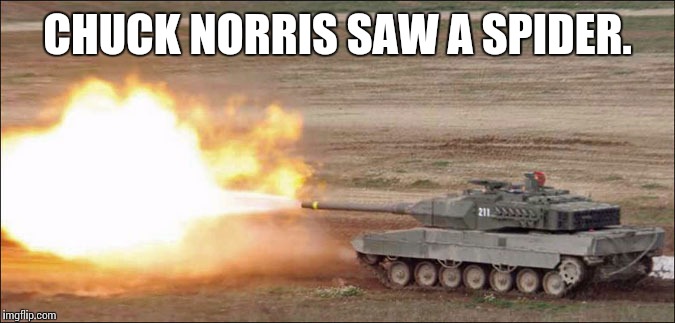 Leopard 2 tank fire firing | CHUCK NORRIS SAW A SPIDER. | image tagged in leopard 2 tank fire firing | made w/ Imgflip meme maker