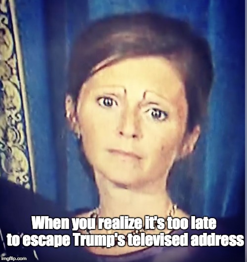 When you realize it's too late to escape Trump's televised address | image tagged in trump | made w/ Imgflip meme maker