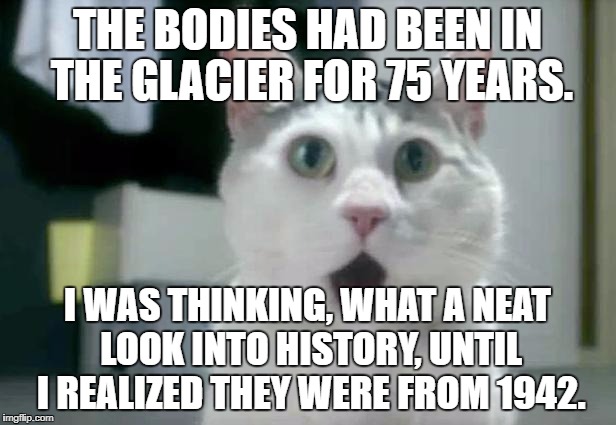 OMG Cat Meme | THE BODIES HAD BEEN IN THE GLACIER FOR 75 YEARS. I WAS THINKING, WHAT A NEAT LOOK INTO HISTORY, UNTIL I REALIZED THEY WERE FROM 1942. | image tagged in memes,omg cat | made w/ Imgflip meme maker
