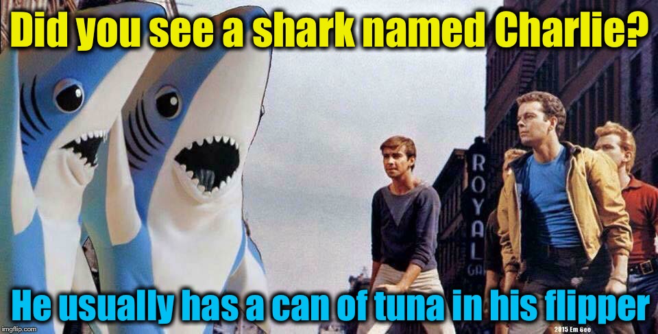 Did you see a shark named Charlie? He usually has a can of tuna in his flipper | made w/ Imgflip meme maker