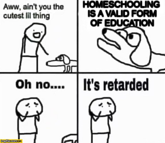 Oh no it's retarded! | HOMESCHOOLING IS A VALID FORM OF EDUCATION | image tagged in oh no it's retarded | made w/ Imgflip meme maker