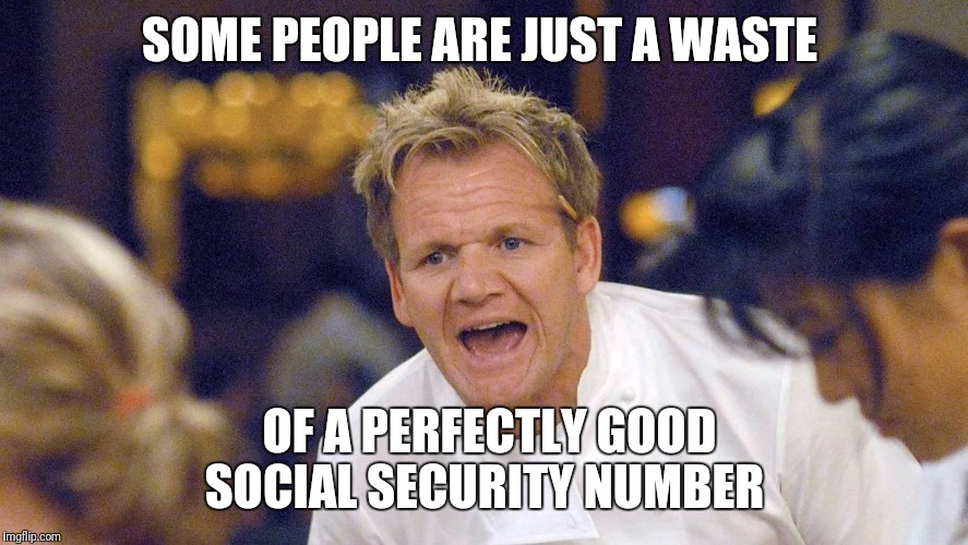 Gordon Ramsey  | SOME PEOPLE ARE JUST A WASTE; OF A PERFECTLY GOOD SOCIAL SECURITY NUMBER | image tagged in gordon ramsey | made w/ Imgflip meme maker