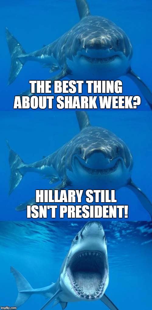 Bad Shark Pun  | THE BEST THING ABOUT SHARK WEEK? HILLARY STILL ISN'T PRESIDENT! | image tagged in bad shark pun,hillary clinton,donald trump,shark week | made w/ Imgflip meme maker