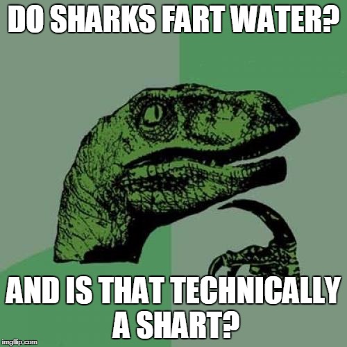 The great shart debate! | DO SHARKS FART WATER? AND IS THAT TECHNICALLY A SHART? | image tagged in memes,philosoraptor,shark week,shart,fart,funny memes | made w/ Imgflip meme maker