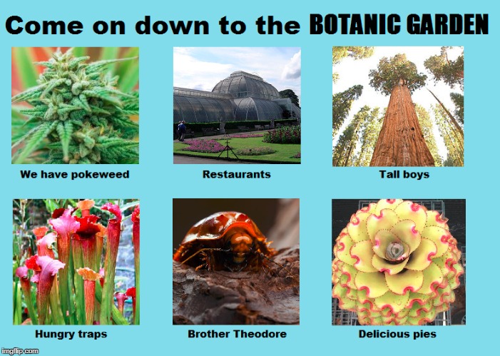Why not visit the Botanic Garden? | image tagged in botanic garden,come on down,why not visit | made w/ Imgflip meme maker