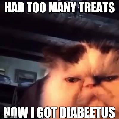 Diabeetus cat | HAD TOO MANY TREATS; NOW I GOT DIABEETUS | image tagged in memes | made w/ Imgflip meme maker