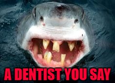 A DENTIST YOU SAY | made w/ Imgflip meme maker