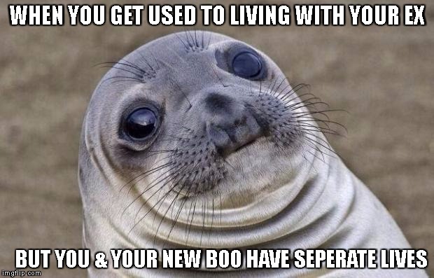 Awkward Moment Sealion | WHEN YOU GET USED TO LIVING WITH YOUR EX; BUT YOU & YOUR NEW BOO HAVE SEPERATE LIVES | image tagged in memes,awkward moment sealion | made w/ Imgflip meme maker