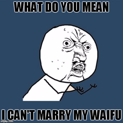 Y U No | WHAT DO YOU MEAN; I CAN'T MARRY MY WAIFU | image tagged in memes,y u no | made w/ Imgflip meme maker