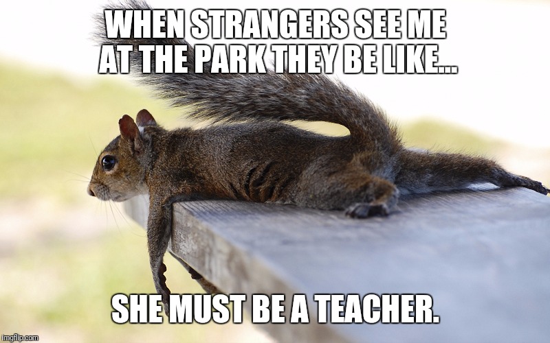 WHEN STRANGERS SEE ME AT THE PARK THEY BE LIKE... SHE MUST BE A TEACHER. | image tagged in teachers | made w/ Imgflip meme maker