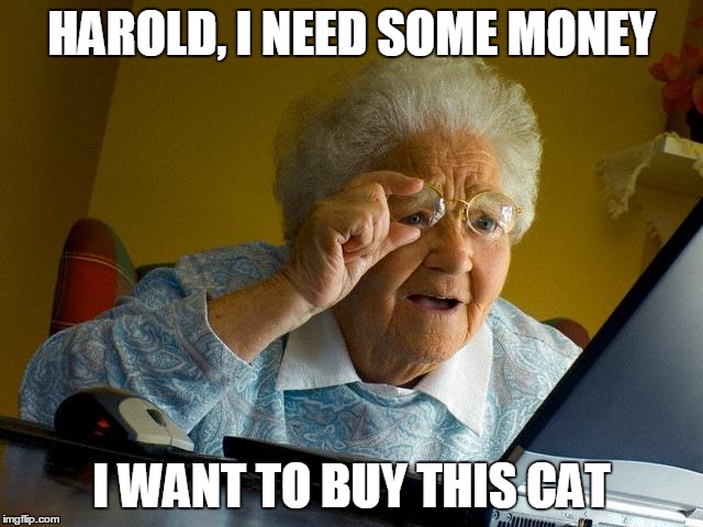 Grandma Finds The Internet Meme | HAROLD, I NEED SOME MONEY I WANT TO BUY THIS CAT | image tagged in memes,grandma finds the internet | made w/ Imgflip meme maker