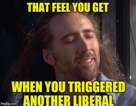 Nick Caged Bird Sings | THAT FEEL YOU GET; WHEN YOU TRIGGERED ANOTHER LIBERAL | image tagged in nick caged bird sings | made w/ Imgflip meme maker