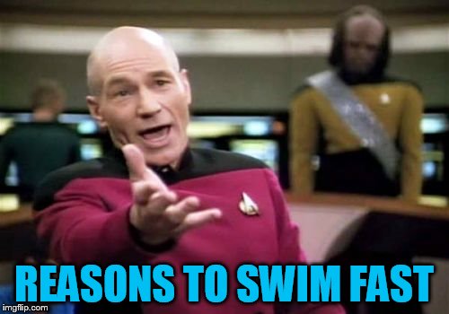 Picard Wtf Meme | REASONS TO SWIM FAST | image tagged in memes,picard wtf | made w/ Imgflip meme maker
