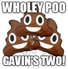 WHOLEY POO; GAVIN'S TWO! | image tagged in poop balloon | made w/ Imgflip meme maker