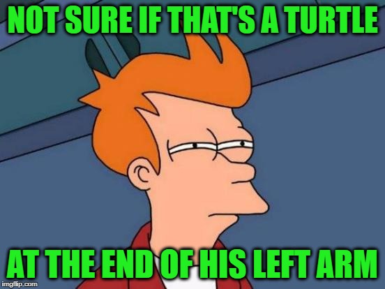 Futurama Fry Meme | NOT SURE IF THAT'S A TURTLE AT THE END OF HIS LEFT ARM | image tagged in memes,futurama fry | made w/ Imgflip meme maker