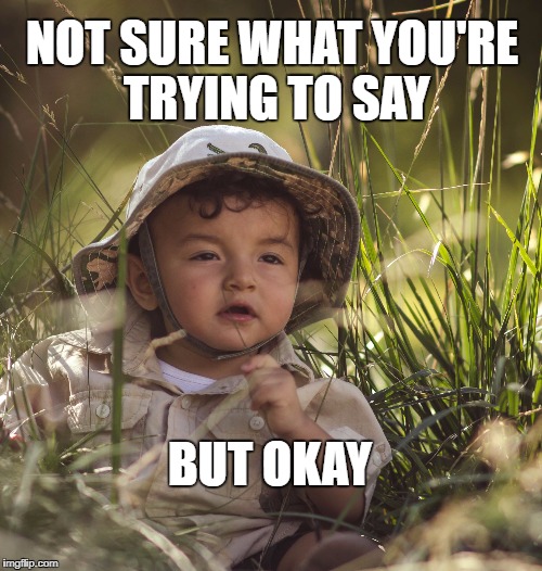 suspicious baby in the wild | NOT SURE WHAT YOU'RE TRYING TO SAY; BUT OKAY | image tagged in suspicious baby in the wild | made w/ Imgflip meme maker
