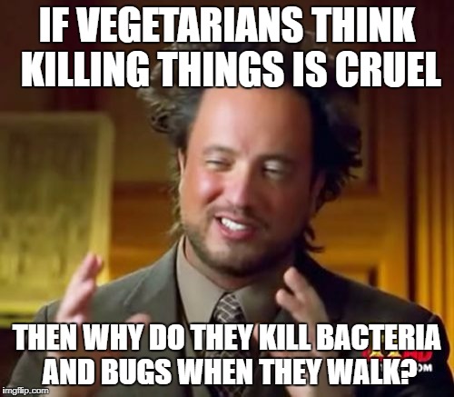 Ancient Aliens Meme | IF VEGETARIANS THINK KILLING THINGS IS CRUEL; THEN WHY DO THEY KILL BACTERIA AND BUGS WHEN THEY WALK? | image tagged in memes,ancient aliens | made w/ Imgflip meme maker