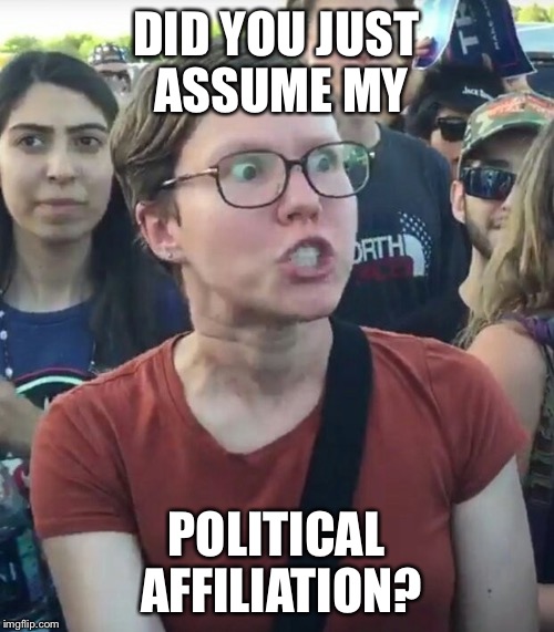 DID YOU JUST ASSUME MY POLITICAL AFFILIATION? | made w/ Imgflip meme maker