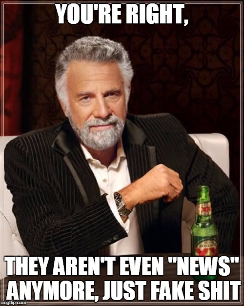 The Most Interesting Man In The World Meme | YOU'RE RIGHT, THEY AREN'T EVEN "NEWS" ANYMORE, JUST FAKE SHIT | image tagged in memes,the most interesting man in the world | made w/ Imgflip meme maker