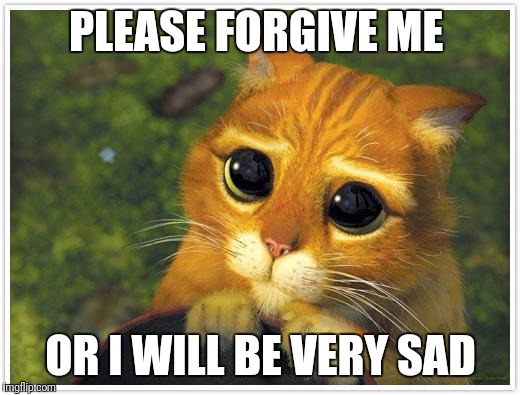 Shrek Cat Meme | PLEASE FORGIVE ME; OR I WILL BE VERY SAD | image tagged in memes,shrek cat | made w/ Imgflip meme maker