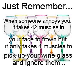 Just Remember | Just Remember... When someone annoys you, it takes 42 muscles in; your face to frown but it only takes 4 muscles to; pick up your wine glass and ignore them... | image tagged in remember,frown,muscles,wine,glass | made w/ Imgflip meme maker
