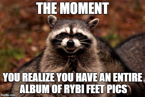 Evil Plotting Raccoon | THE MOMENT; YOU REALIZE YOU HAVE AN ENTIRE ALBUM OF RYBI FEET PICS | image tagged in memes,evil plotting raccoon | made w/ Imgflip meme maker