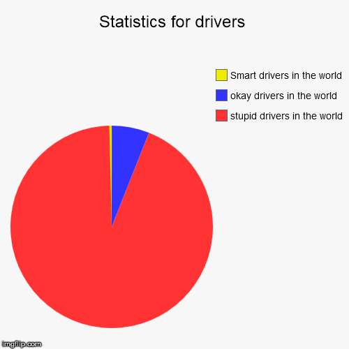 Statistics for drivers | image tagged in funny,pie charts,drivers,statistics | made w/ Imgflip chart maker