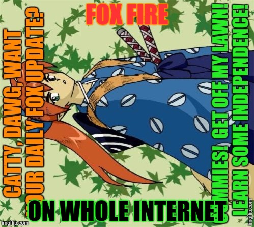 FOX FIRE ON WHOLE INTERNET | made w/ Imgflip meme maker