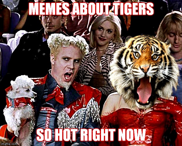 Get your paws on Tiger Week! | MEMES ABOUT TIGERS; SO HOT RIGHT NOW | image tagged in tiger week,so hot right now | made w/ Imgflip meme maker