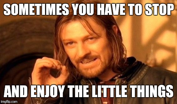 One Does Not Simply Meme | SOMETIMES YOU HAVE TO STOP AND ENJOY THE LITTLE THINGS | image tagged in memes,one does not simply | made w/ Imgflip meme maker