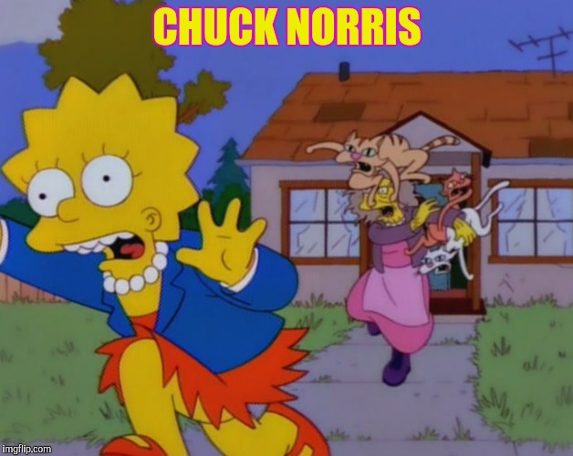 CHUCK NORRIS | made w/ Imgflip meme maker