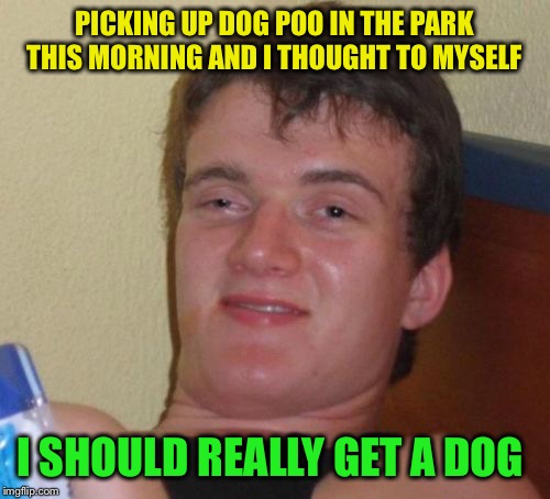 Fecal fascination  | PICKING UP DOG POO IN THE PARK THIS MORNING AND I THOUGHT TO MYSELF; I SHOULD REALLY GET A DOG | image tagged in memes,10 guy,funny | made w/ Imgflip meme maker