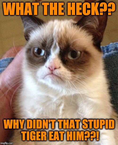 Grumpy Cat Meme | WHAT THE HECK?? WHY DIDN'T THAT STUPID TIGER EAT HIM??! | image tagged in memes,grumpy cat | made w/ Imgflip meme maker