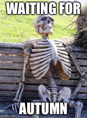 Waiting Skeleton Meme | WAITING FOR; AUTUMN | image tagged in memes,waiting skeleton | made w/ Imgflip meme maker
